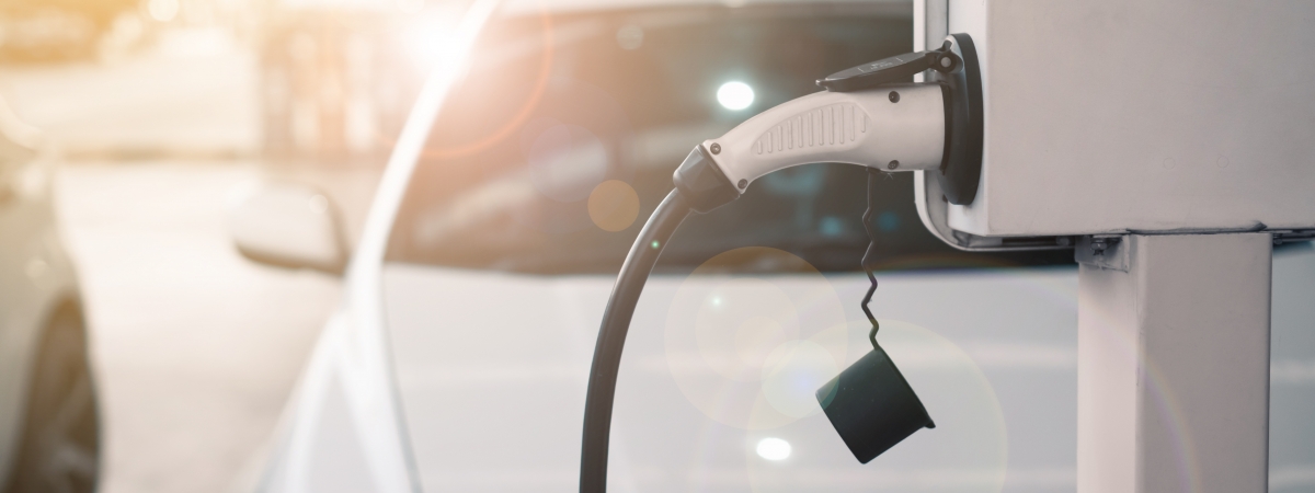 Zap-Map survey reveals charging habits - Transport + Energy