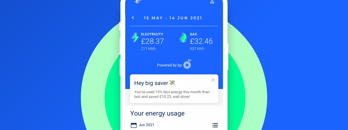 Pure Planet and bp launch new digital carbon- information services for householders and motorists